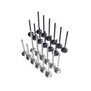 034 Motorsport Ventielset 24v en R32, RVS Inconel 01